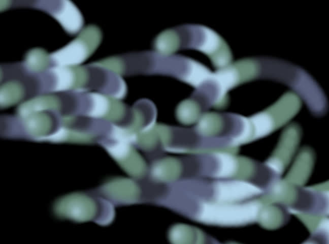 Header of wormy