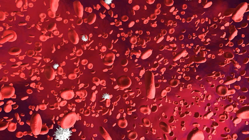 Digital motion graphic of red and white blood cells flowing through veins in the human body
