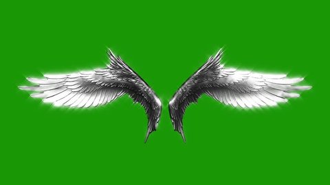 Flapping Silver Wings Particles Loop Stock Footage Video 100 Royalty Free Shutterstock Flapping Silver Wings Particles Loop Stock Footage Video 100 Royalty Free Shutterstock