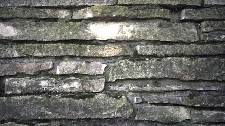 Stone Wall Background Dolly Shot Stock Footage 100 Royalty Free 22252093 Shutterstock
