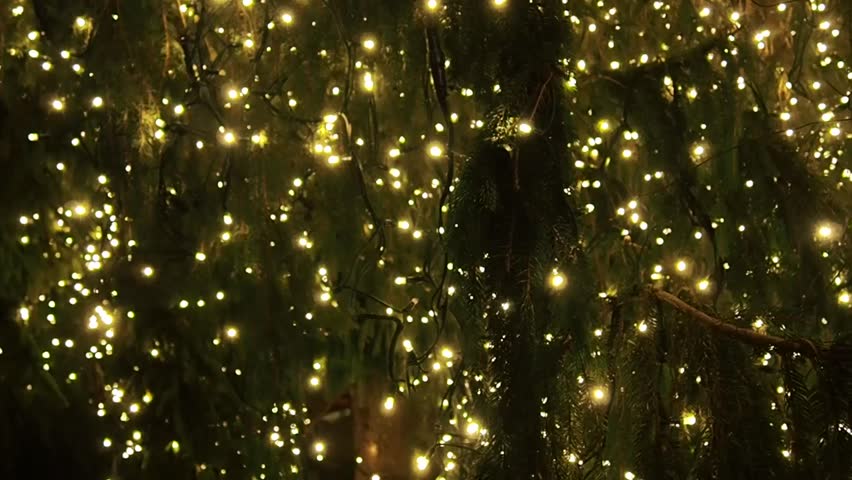 Christmas Tree Lights Stock Footage Video (100% Royalty-free) 22433383