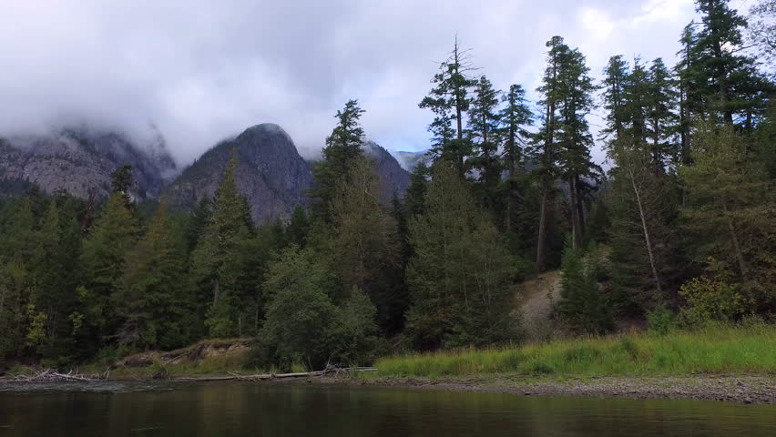 Header of great bear