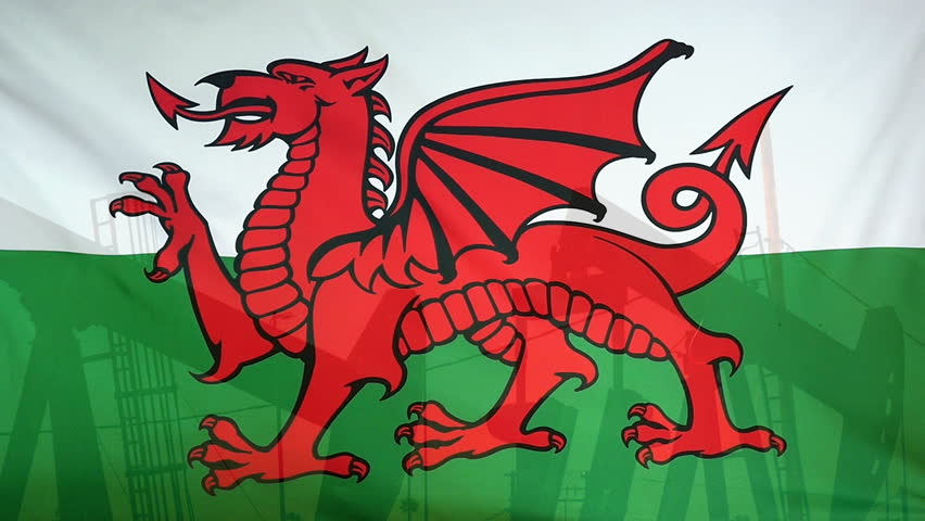 Green And White Flag With Dragon Green And White Flag With Dragon