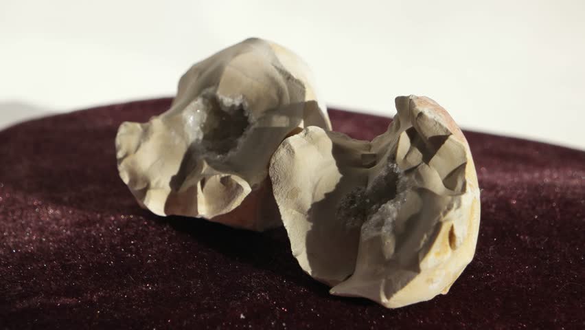 Header of swivel