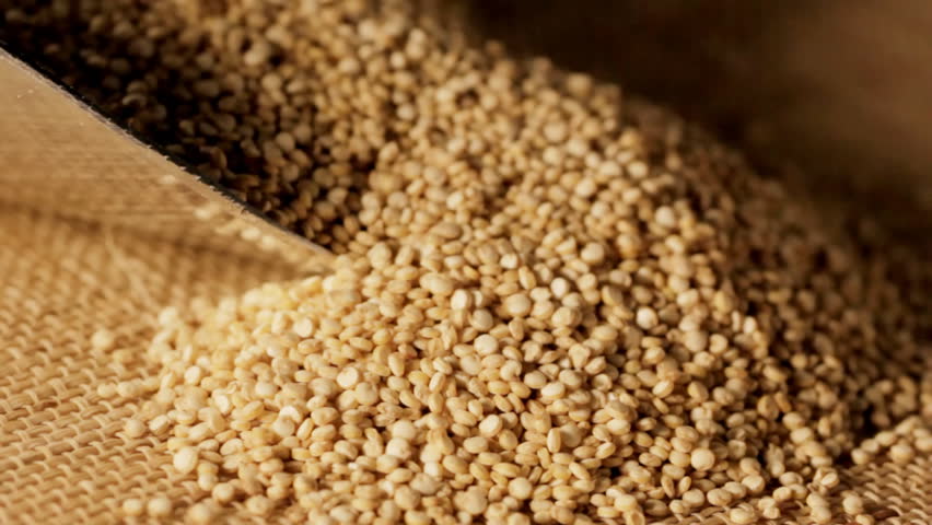 Header of quinoa