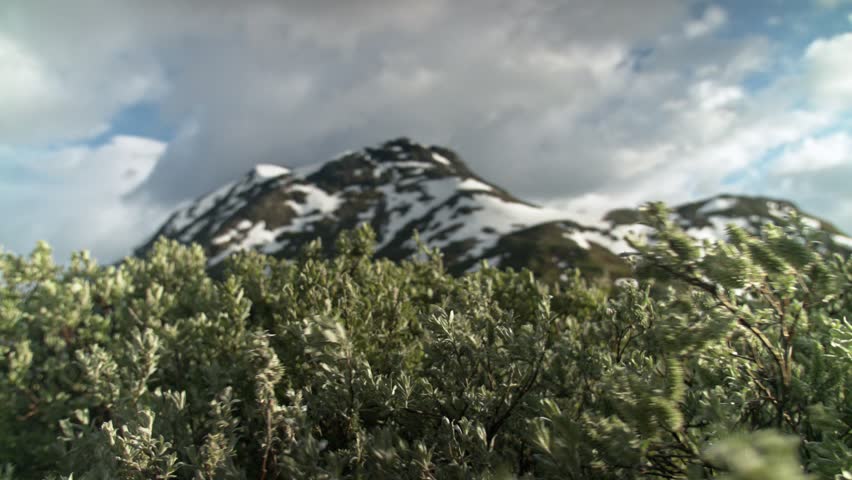 Header of 48