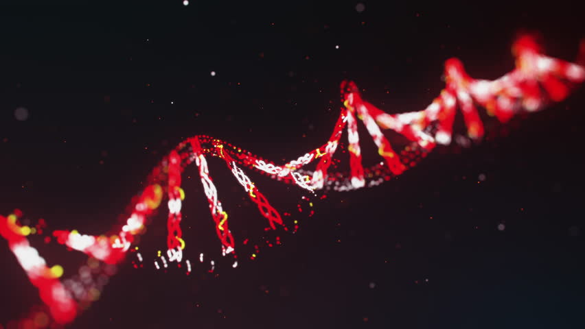 Dna Helix On Grey Background Stock Footage Video 10831559 | Shutterstock