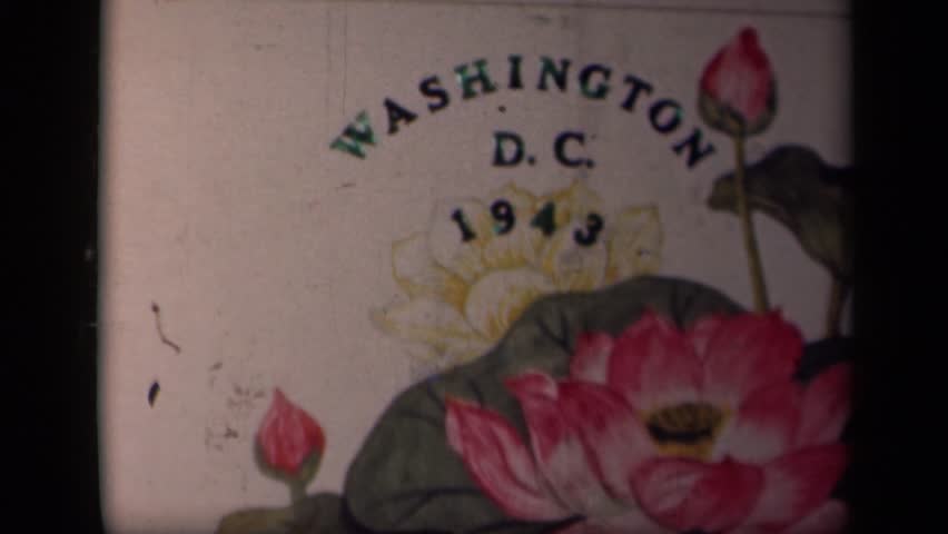 Header of memoir
