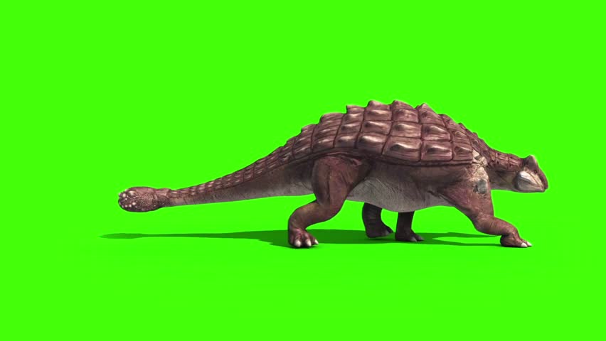 ankylosaurus 3d google