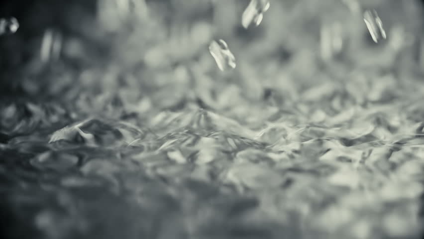 Header of shiver