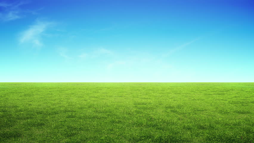 Meadow With Green Grass And Blue Sky With Clouds Stock Footage Video ...