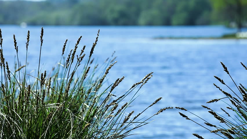Header of clump