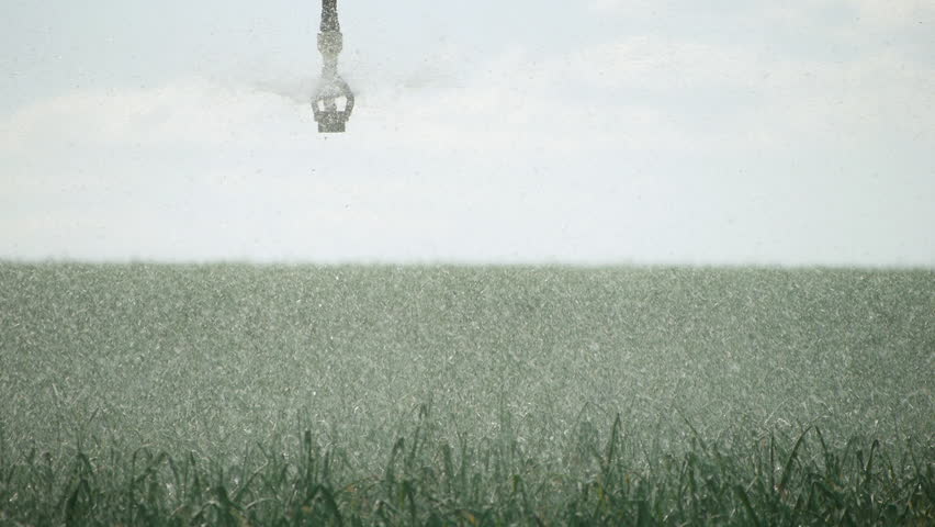 Header of pivot
