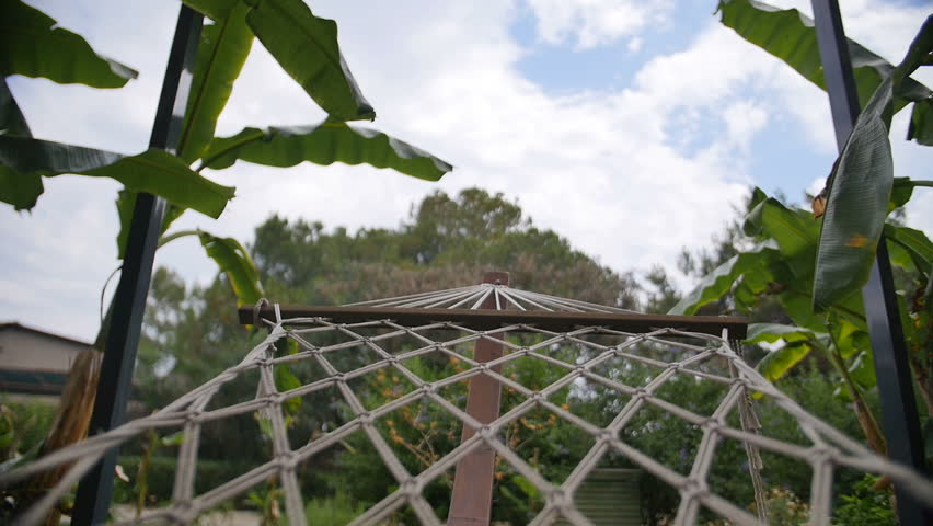 Hammock Backyard Stock Footage Video | Shutterstock