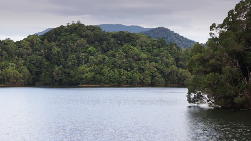 Header of morris
