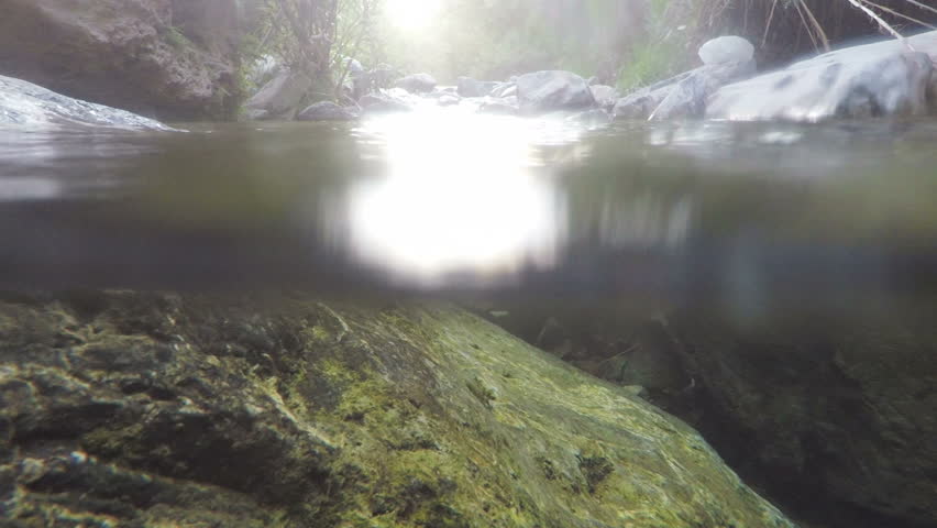 Header of inferior