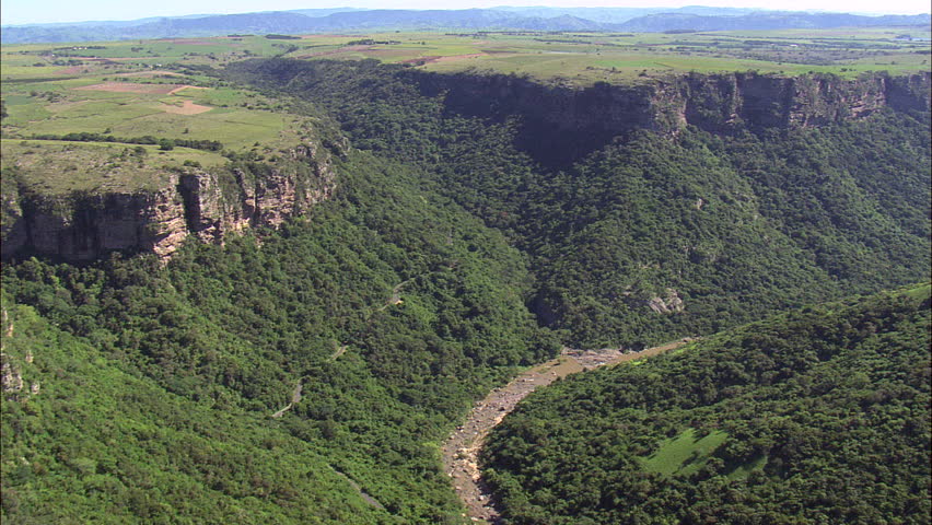 Header of oribi