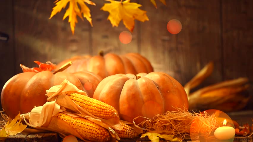 Pumpkin, Squash. Happy Thanksgiving Day Wooden Table Background ...