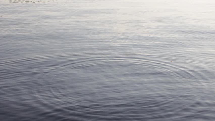 Stone Skipping On Water At Dawn. Beautiful View Of Throwing A Small ...