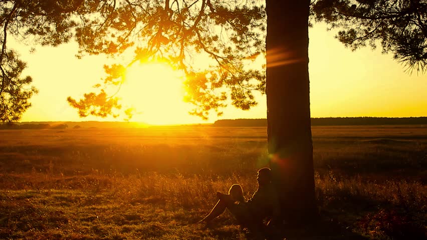 Human Sitting Under Tree. Man Repose On Grass In Nature. Outdoors ...