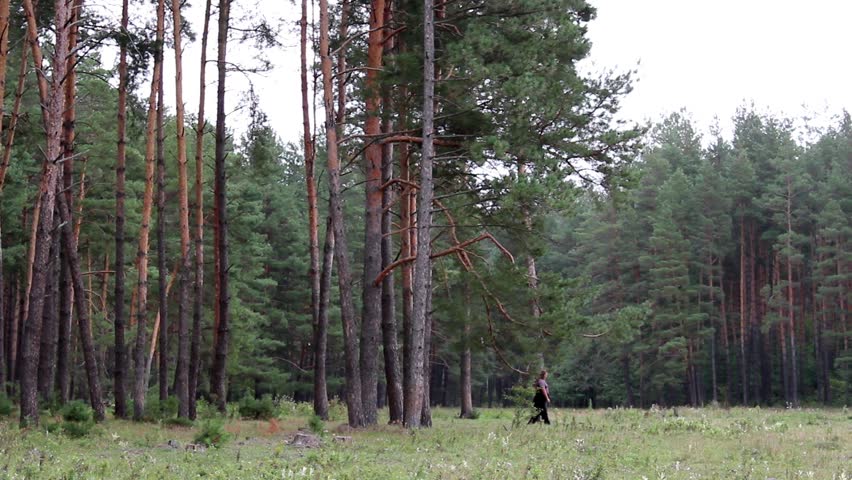 Header of gamekeeper