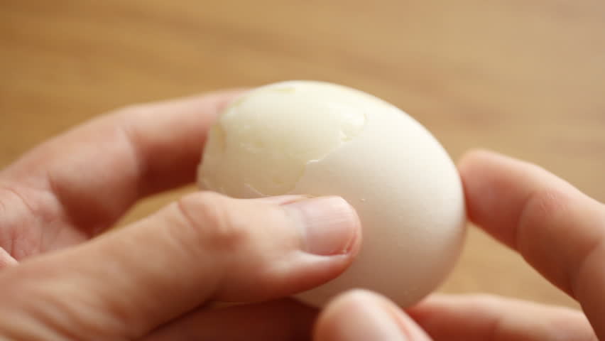 Header of eggshell