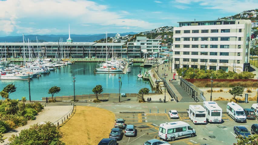 Buildings in wellington bay in new zealand image free stock photo