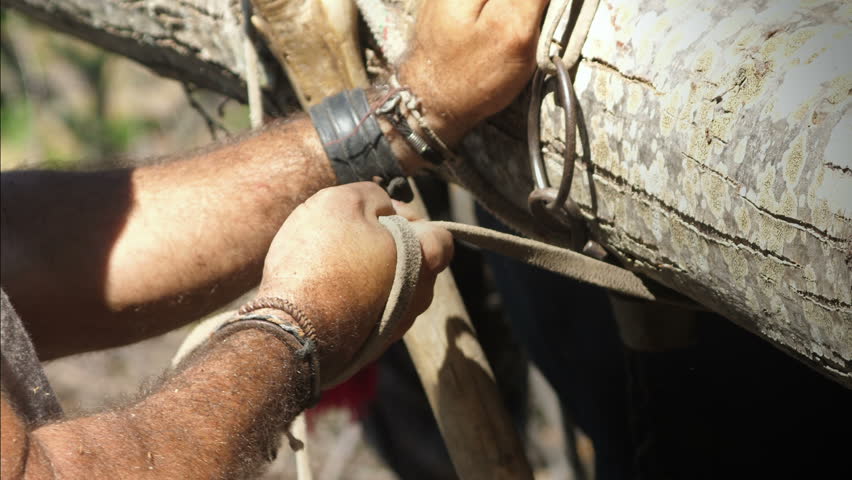Header of packsaddle