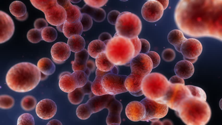 Escherichia Coli Bacteria (E. Coli) Under Microscope, Magnification