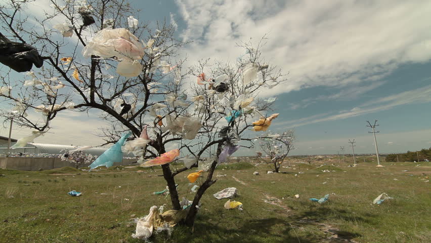 Tree Covered Plastic Bags Near Stock Footage Video (100