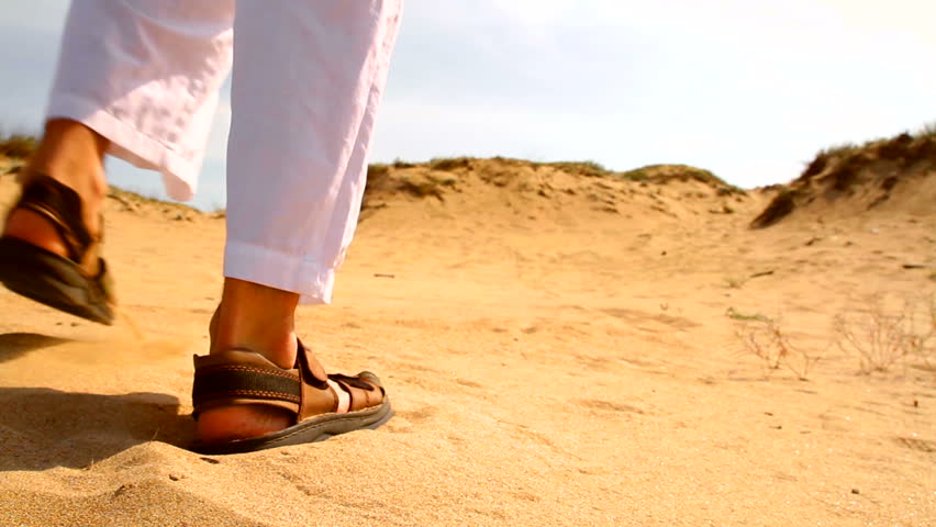 Old Man With Staff Walking In Desert Concept HD Stock Footage Video ...