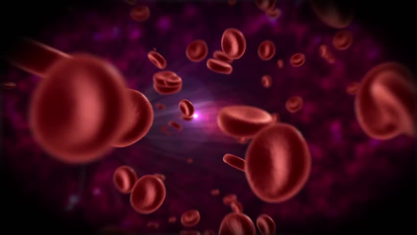 Red Blood Cells Flow - Traveling through a vein inside body
