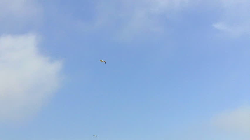 Partly Cloudy Sky Partly Cloudy Sky