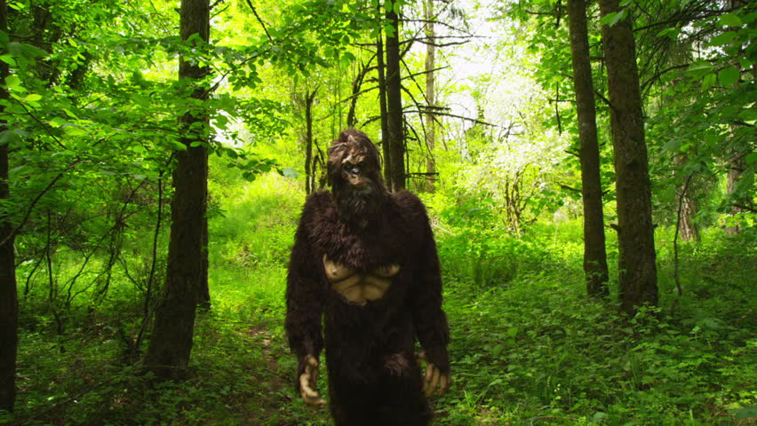 Sasquatch definition/meaning