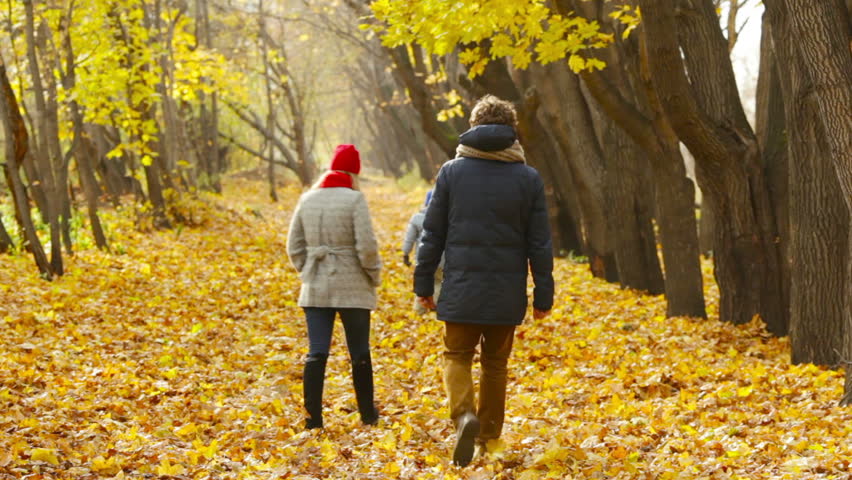 Rearview Of A Happy Couple Walking Unhurriedly Through The Autumn Forest Stock Footage Video