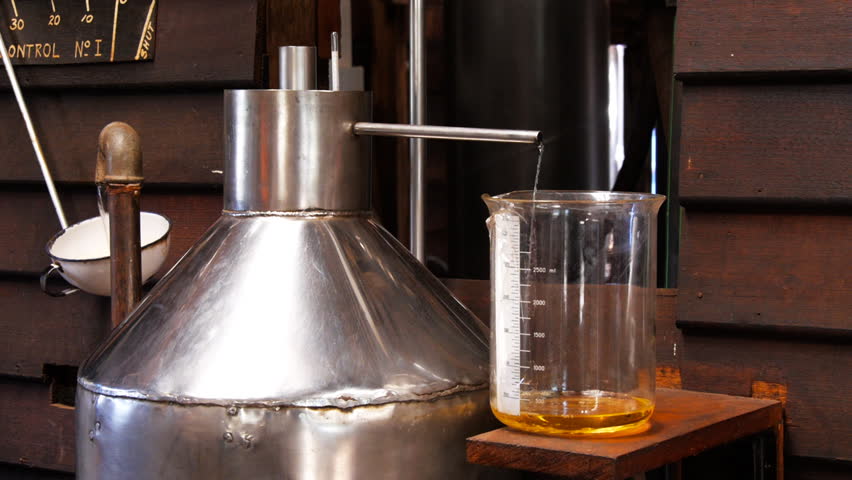 Header of separator