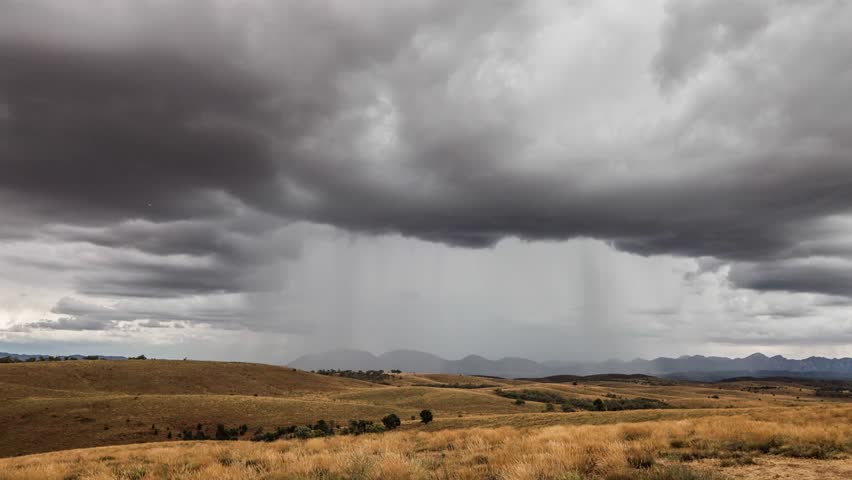 Header of flinders