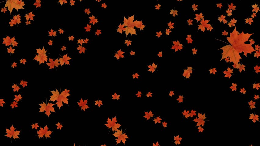 Falling Autumn Leaves Animation Use Your Footage In The Bg : - Make It ...