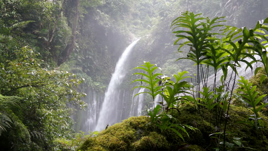 Download 10100+ Background Air Terjun Hd HD Terbaik