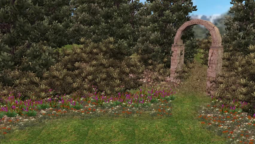 Daisy Stones Garden Stock Video Footage 4k And Hd Clips Daisy Stones Garden Stock Video Footage 4k And Hd Clips Shutterstock