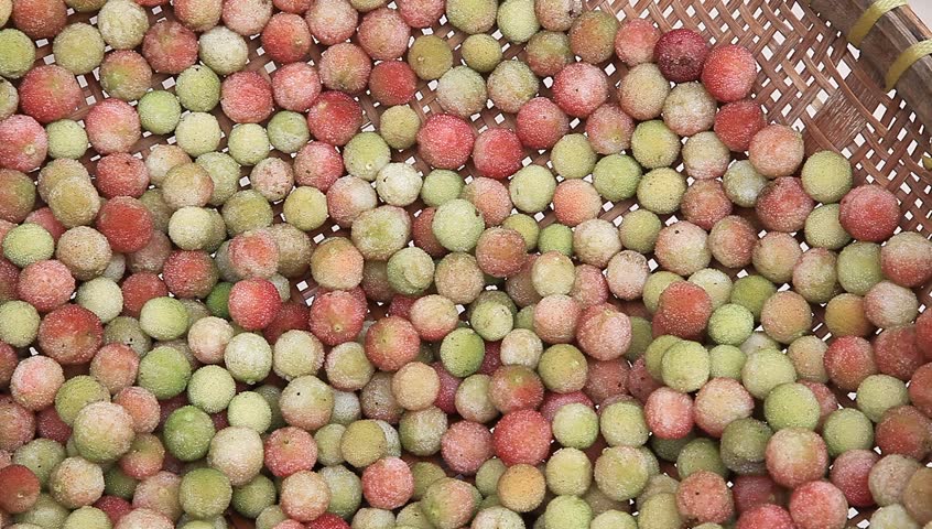 Header of waxberry