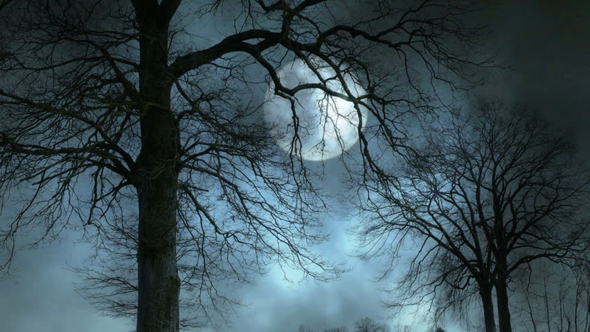 Time Lapse Of Moon Night Sky. Spooky Trees Silhouette. Darkness. Scary ...