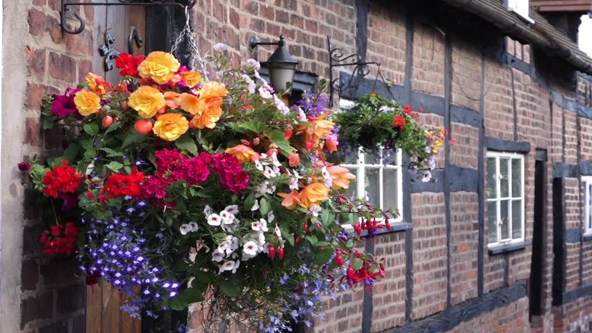Hanging Flowers Outside a House Stock Footage Video (100% Royalty,free) 6782713