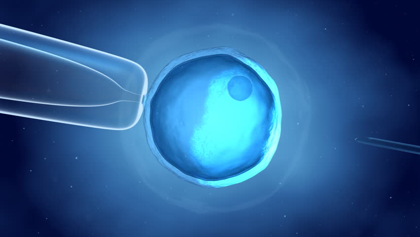 Header of begun