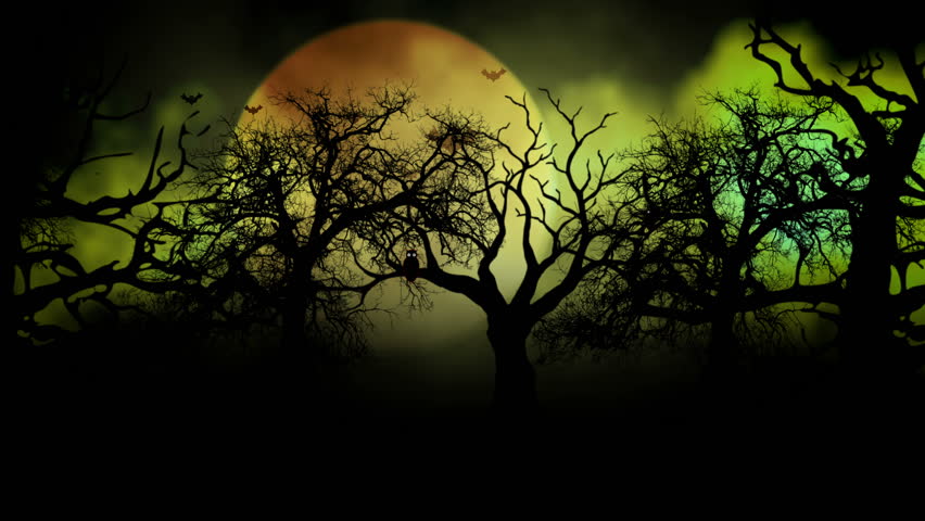 animated stylish background useful for halloweenspooky scary haunted eerie ghost - Halloween Background Video animated stylish background useful for halloweenspooky scary haunted eerie ghost - Halloween Background Video