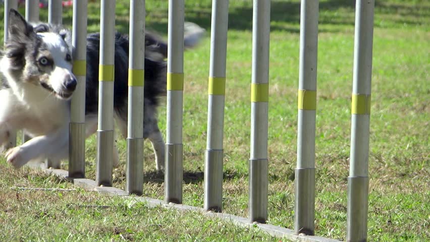 Header of weave