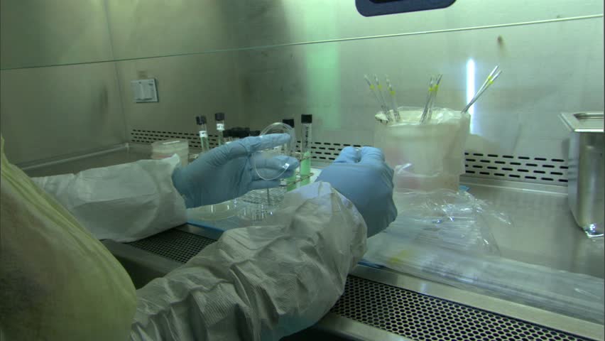 Header of sputum