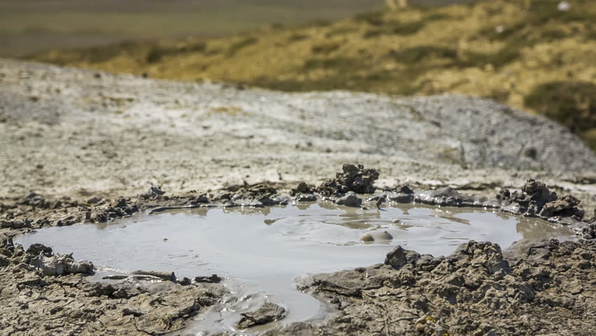 Mud Puddle