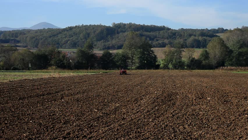Header of seedsman