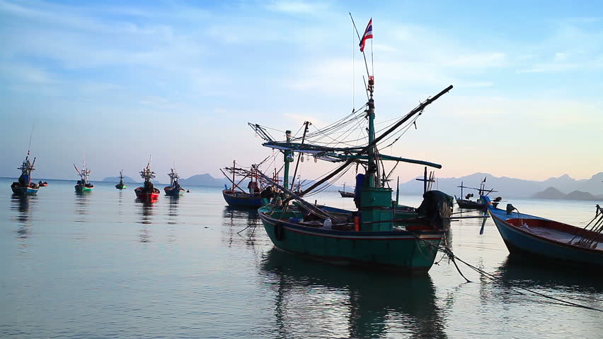 Group of Fishing Boat Anchored Stock Footage Video (100% Royalty-free ...